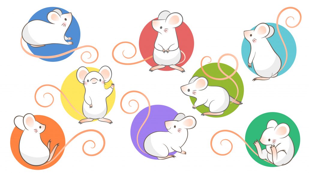 Chinese Idioms About Rats
