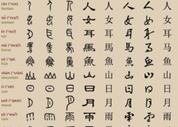 The Evolution of Chinese Writing