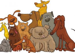 Chinese Idioms About Dogs