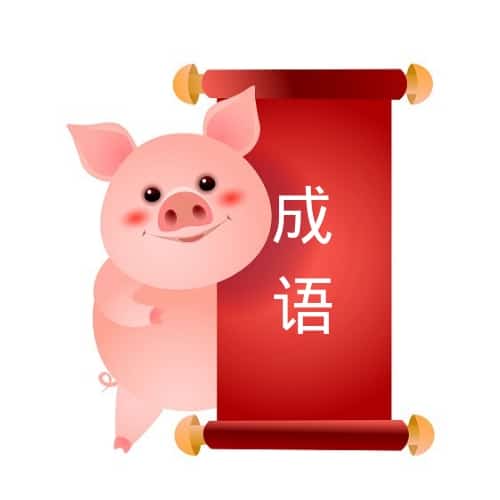 Chinese Proverbs About Pigs