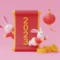 chinese idioms about rabbits