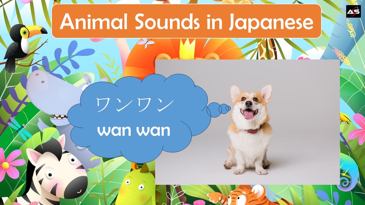 Animal Sounds in Japanese