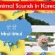 Animal Sounds in Korean