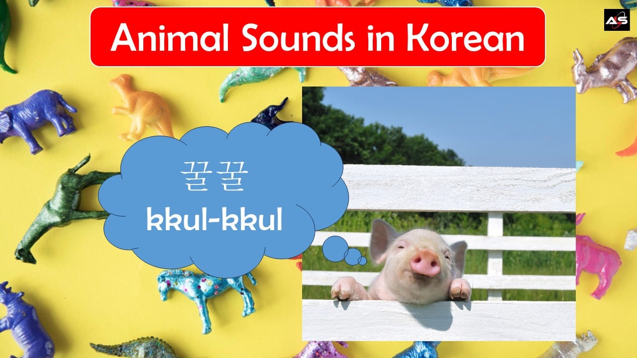 Animal Sounds in Korean